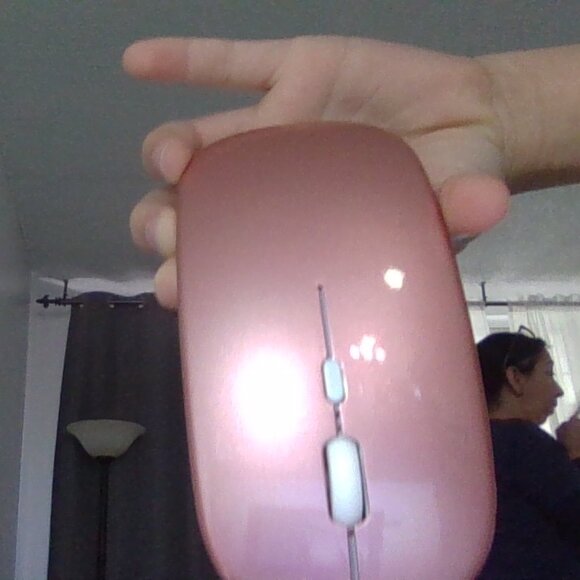 sofe - Picture 14 of 17